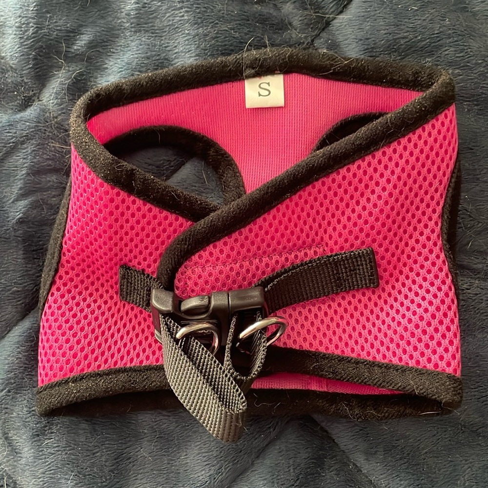 Small pink dog harness